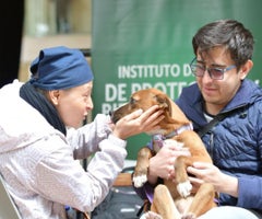 Se ofrecen distintos espacios para el trabajo con los animales, desde refugios y hogares de paso hasta jornadas enfocadas en bienestar Se ofrecen distintos espacios para el trabajo con los animales, desde refugios y hogares de paso hasta jornadas enfocadas en bienestar