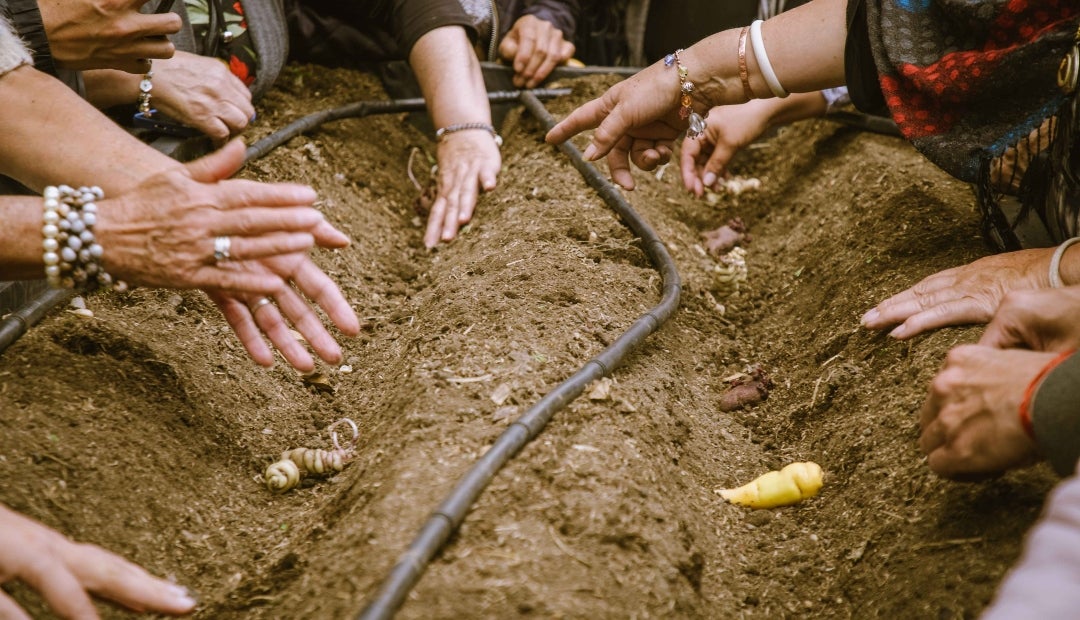 Banco Comunitario de Semillas Agroecológicas Banco Comunitario de Semillas Agroecológicas