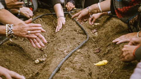 Banco Comunitario de Semillas Agroecológicas