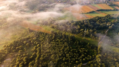 Deforestación
