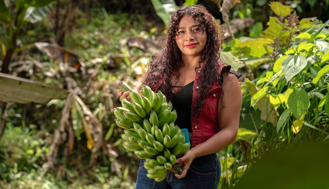 Colombia tiene 12 millones de campesinos, 49% de los cuales son mujeres Colombia tiene 12 millones de campesinos, 49% de los cuales son mujeres