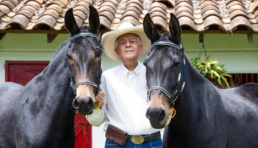 En el cometido de destacar estos animales hay una persona que se merece todo el reconocimiento y los honores: Ovidio Osorio Orrego En el cometido de destacar estos animales hay una persona que se merece todo el reconocimiento y los honores: Ovidio Osorio Orrego