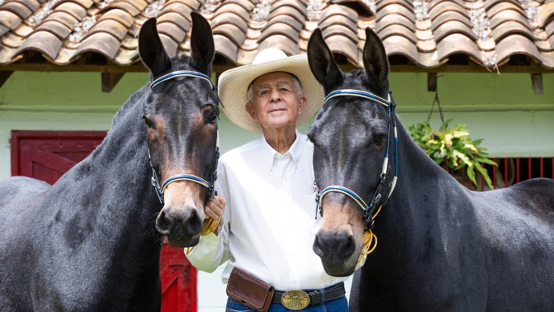 En el cometido de destacar estos animales hay una persona que se merece todo el reconocimiento y los honores: Ovidio Osorio Orrego En el cometido de destacar estos animales hay una persona que se merece todo el reconocimiento y los honores: Ovidio Osorio Orrego