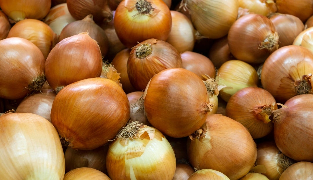 La última semana de octubre comenzó con la caída de $200 en el precio de la cebolla cabezona blanca