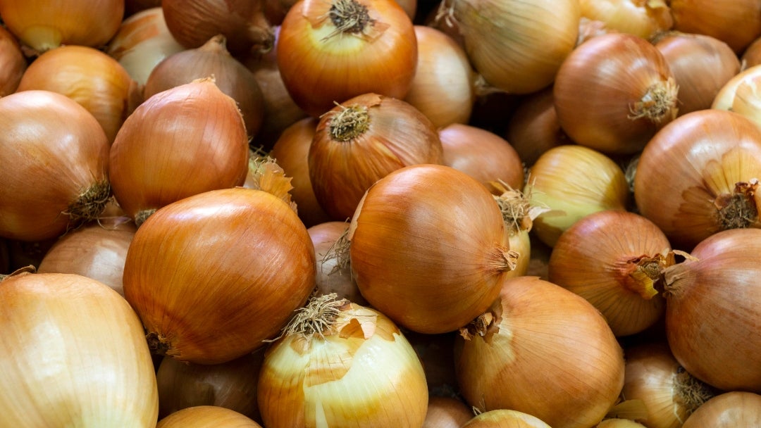 La última semana de octubre comenzó con la caída de $200 en el precio de la cebolla cabezona blanca