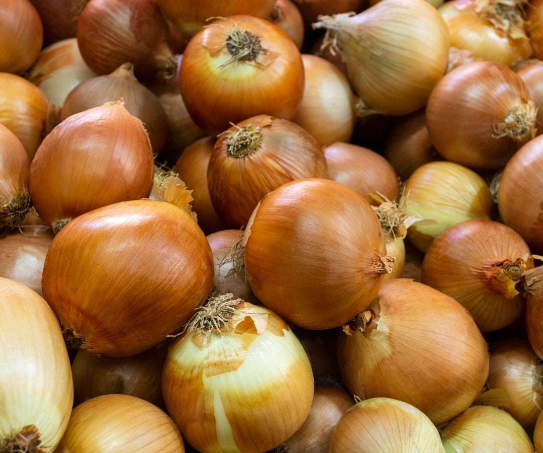 La última semana de octubre comenzó con la caída de $200 en el precio de la cebolla cabezona blanca