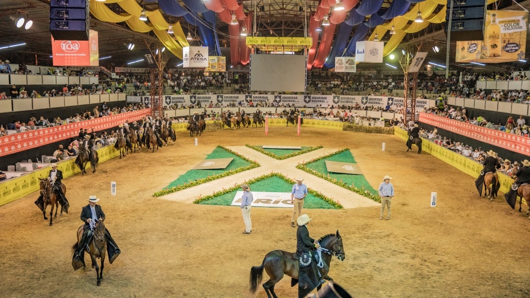 Si no va ir a las competencias, podrá ver la transmisión en vivo por el canal de YouTube de Fedequinas Si no va ir a las competencias, podrá ver la transmisión en vivo por el canal de YouTube de Fedequinas