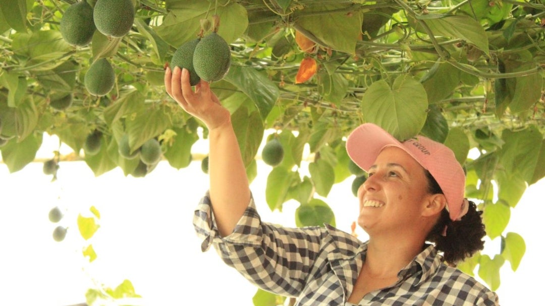 En temporada alta Colombian Fruit tiene un equipo de 30 personas En temporada alta Colombian Fruit tiene un equipo de 30 personas