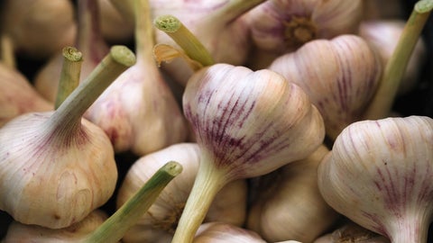 Se cree que al mezclar e ajo con miel y limón se pueden combatir los síntomas del resfriado