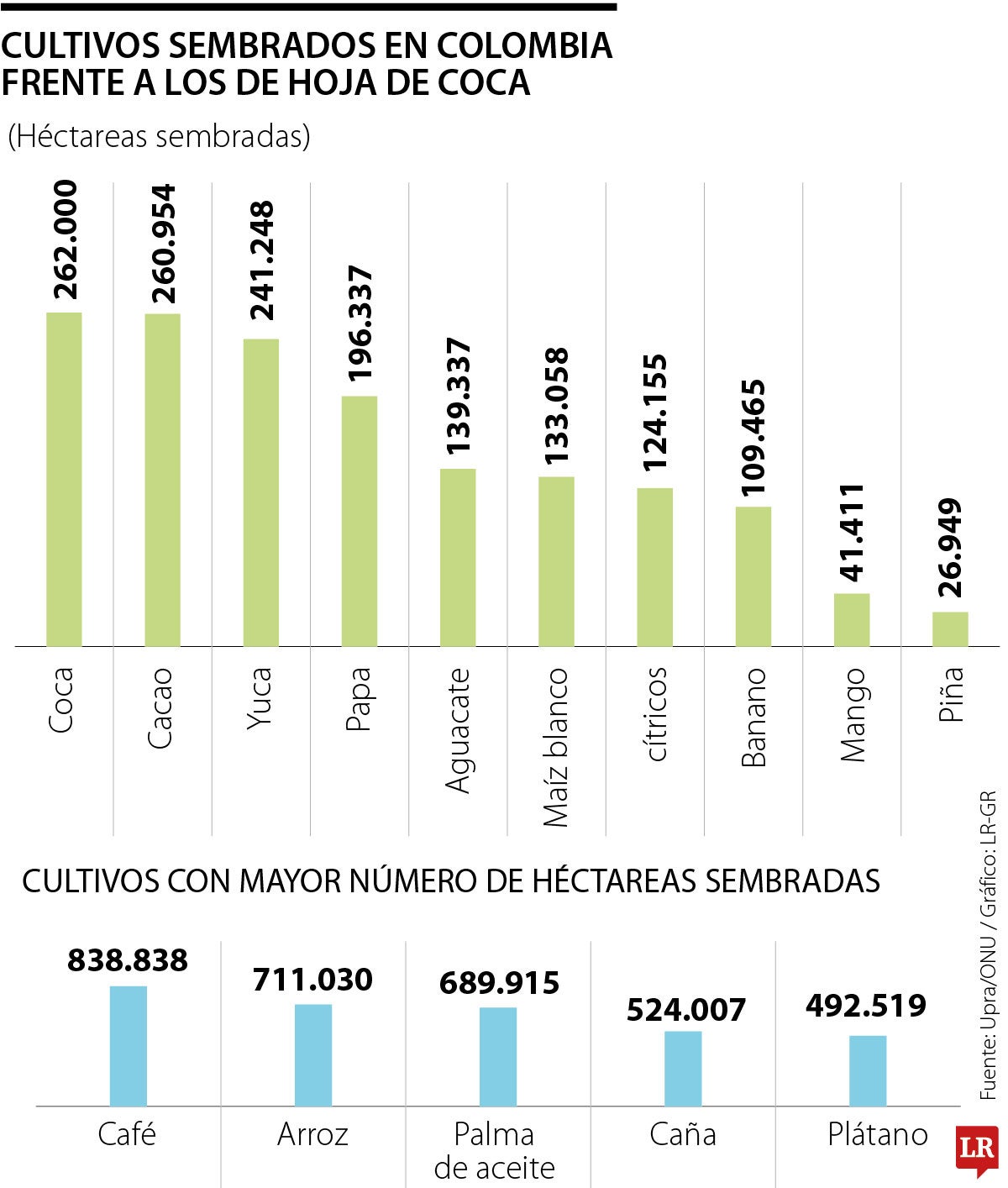 Cultivos de coca son superior a los de la yuca y la papa