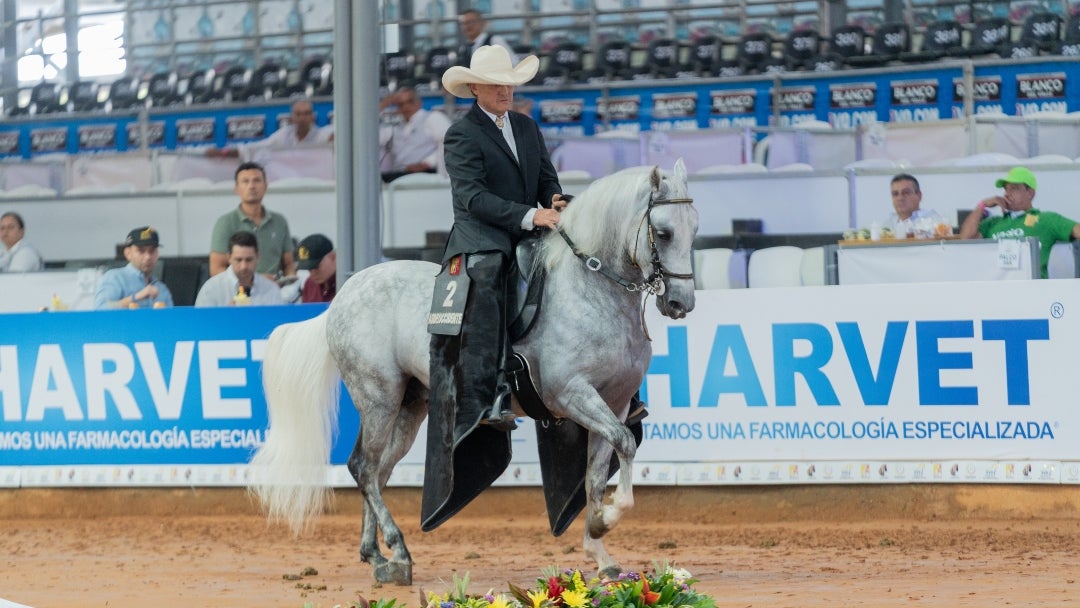 Se tuvieron varios eventos incluidos los de lotes de yeguas para cría en los diferentes andares, además de algunos eventos especiales Se tuvieron varios eventos incluidos los de lotes de yeguas para cría en los diferentes andares, además de algunos eventos especiales