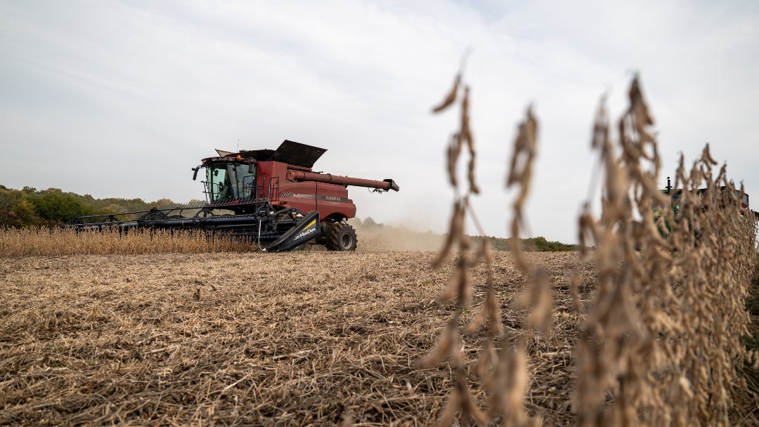 La soja es la principal exportación agrícola de Estados Unidos y China su principal destino, representando más de la mitad de US$24.500 millones La soja es la principal exportación agrícola de Estados Unidos y China su principal destino, representando más de la mitad de US$24.500 millones