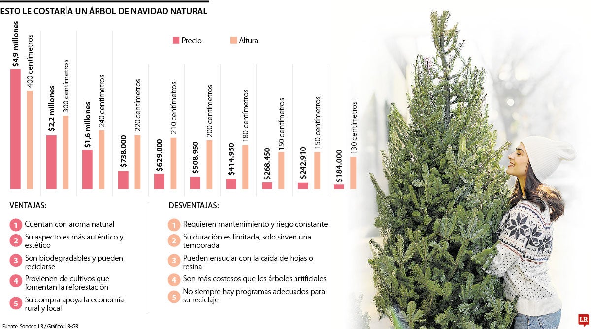 Esto le cuesta comprar un árbol de navidad natural
