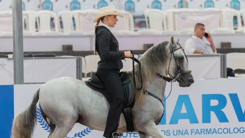 Ayer, jueves 30 de octubre, se llevó a cabo la cuarta jornada de la XVII Mundial de Caballos de Paso