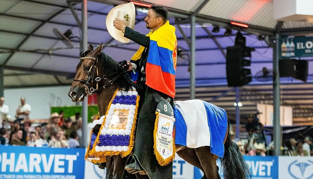 Mundial Equina