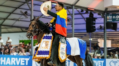 Mundial Equina