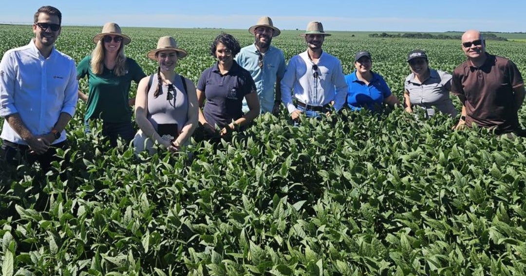 Griffith Foods y PepsiCo escalarán agricultura regenerativa a productores en Brasil