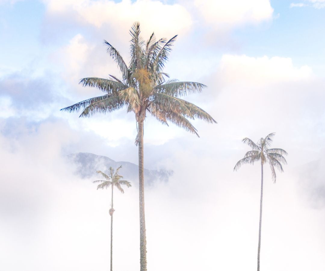 La tradición agrícola del Eje