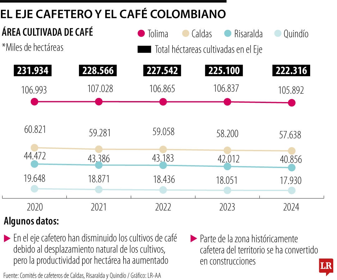 9% disminuyó entre 2020 y 2024 los cultivos de café en el Quindío, la región donde más se redujeron.