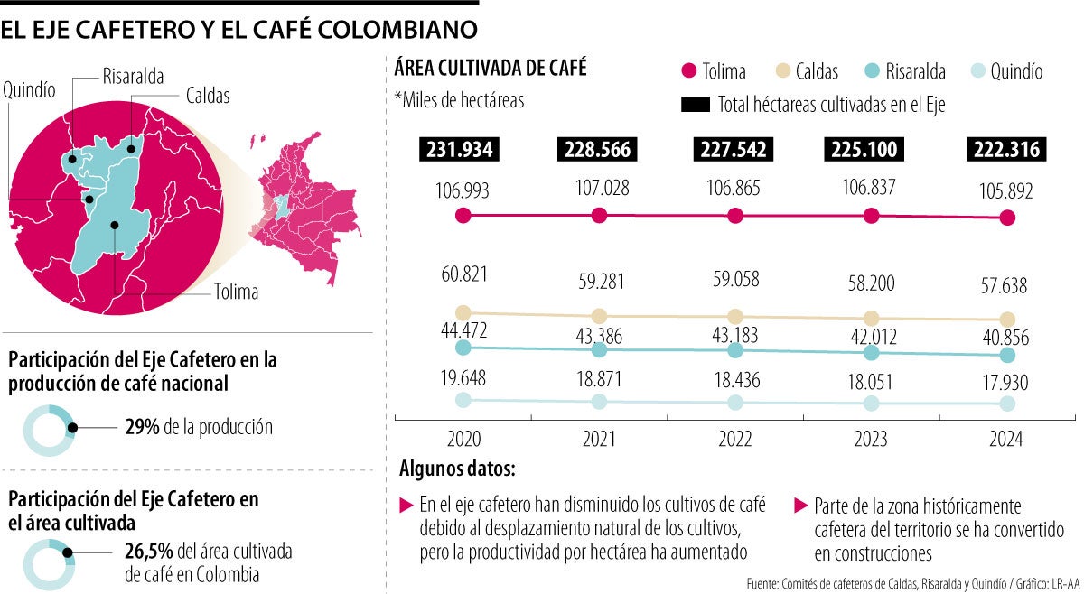 9% disminuyó entre 2020 y 2024 los cultivos de café en el Quindío, la región donde más se redujeron.