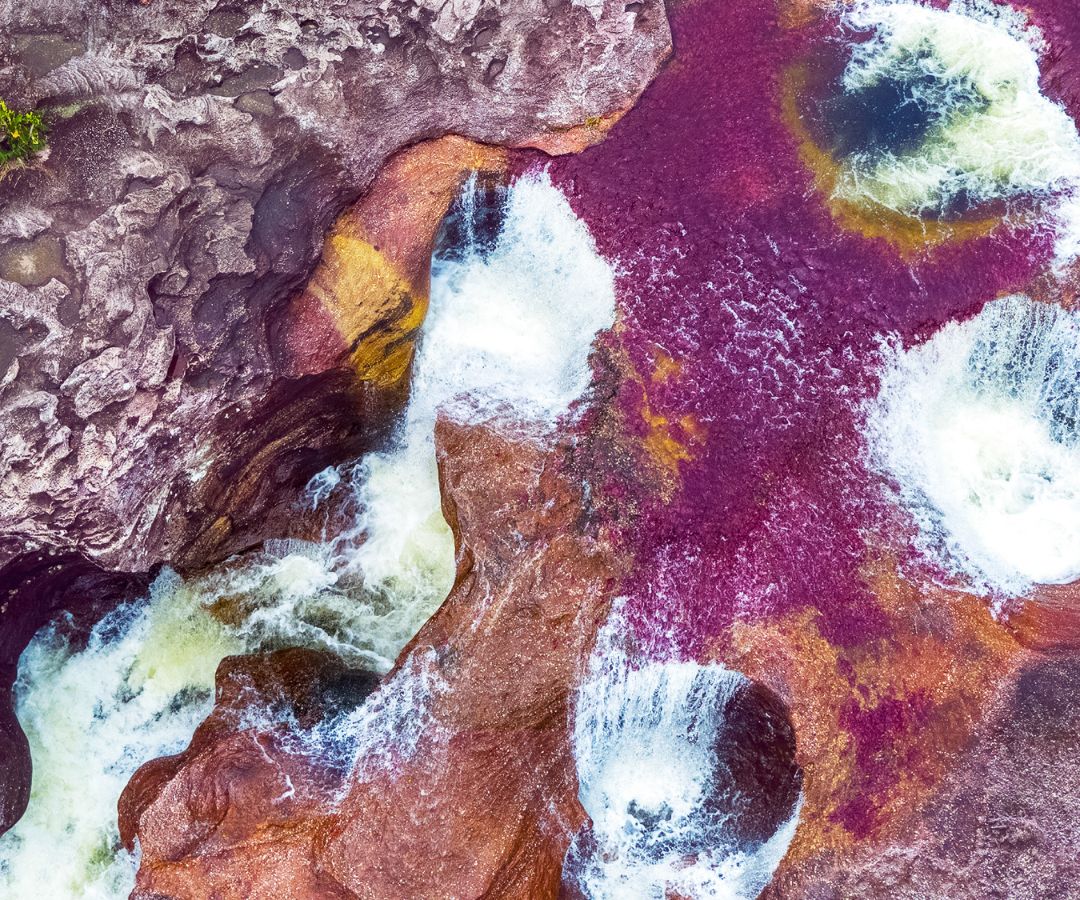 Entre agosto de 2022 y septiembre de 2025 llegaron más de 20 millones de visitantes internacionales.