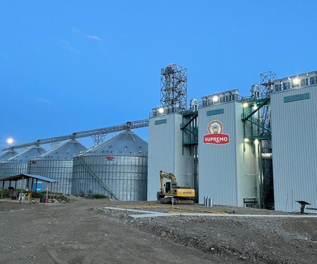 Planta de Arroz Supremo