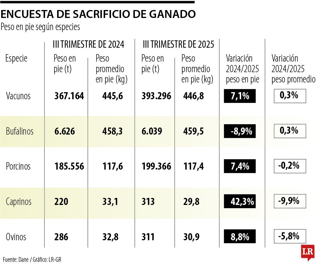 Sacrificio de ganado