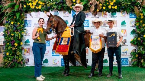 Pedro Felipe Mesa, dueño del criadero Los Vikingos, montado en Odín de Los Pinos.