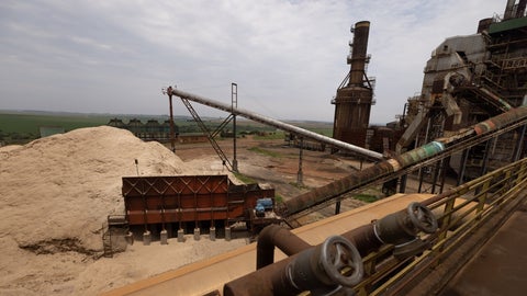 La rentabilidad del azúcar crudo ha disminuido, con una caída de los futuros de aproximadamente 23% en lo que va del año