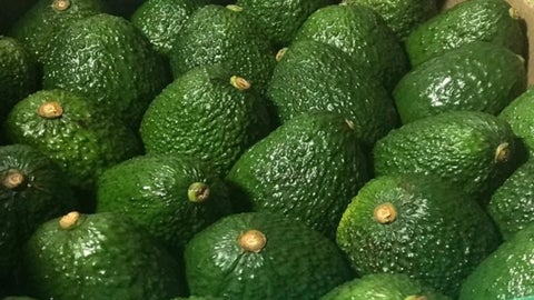 Se elimina arancel recíproco al aguacate hass