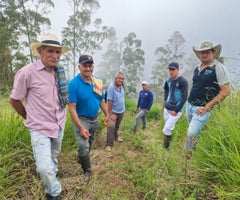 PRESS KIT RAICES FUTURAS_RAICES FUTURAS 2 (1)