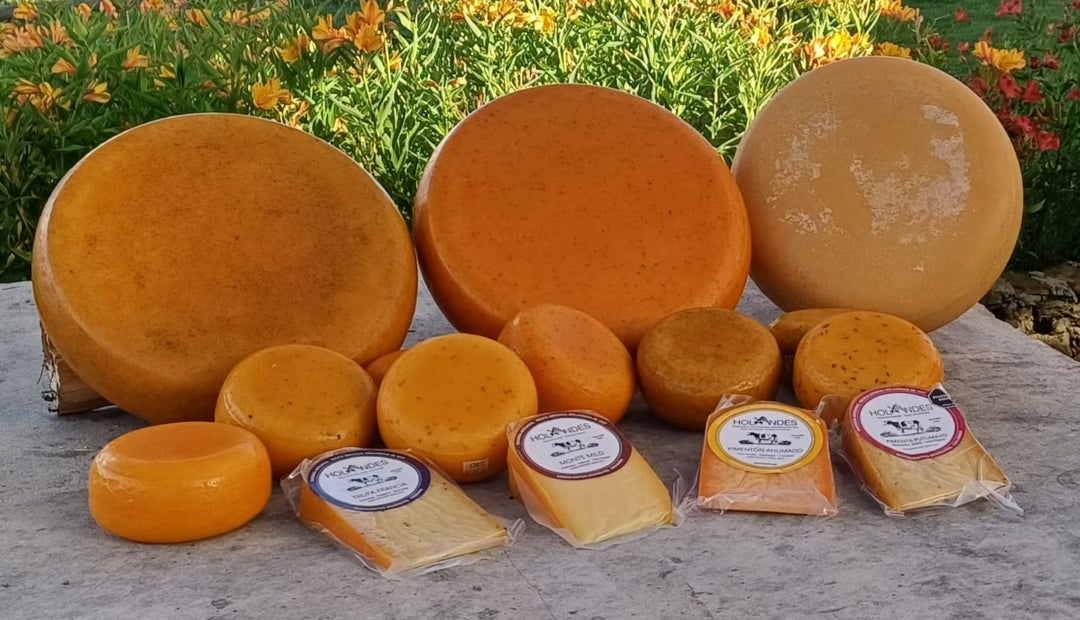 En 2023 ganó la Medalla de Plata y Bronce en Noruega, y en 2022 la Medalla de Bronce en Gales