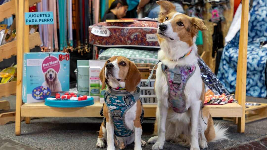 Expopet Medellín espera recibir 20.000 visitantes y tener más de 100 expositores