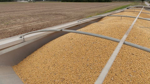 Las recientes compras de China se producen después de que Estados Unidos anunciara que Pekín se había comprometido a comprar al menos 87 millones de toneladas de soja