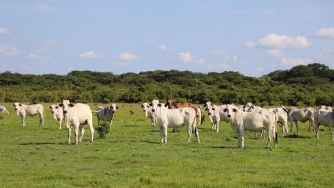 Se espera que la iniciativa tenga su último debate próximamente, y que se logre promover la operabilidad cooperativa entre sistemas