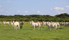 Se espera que la iniciativa tenga su último debate próximamente, y que se logre promover la operabilidad cooperativa entre sistemas Se espera que la iniciativa tenga su último debate próximamente, y que se logre promover la operabilidad cooperativa entre sistemas