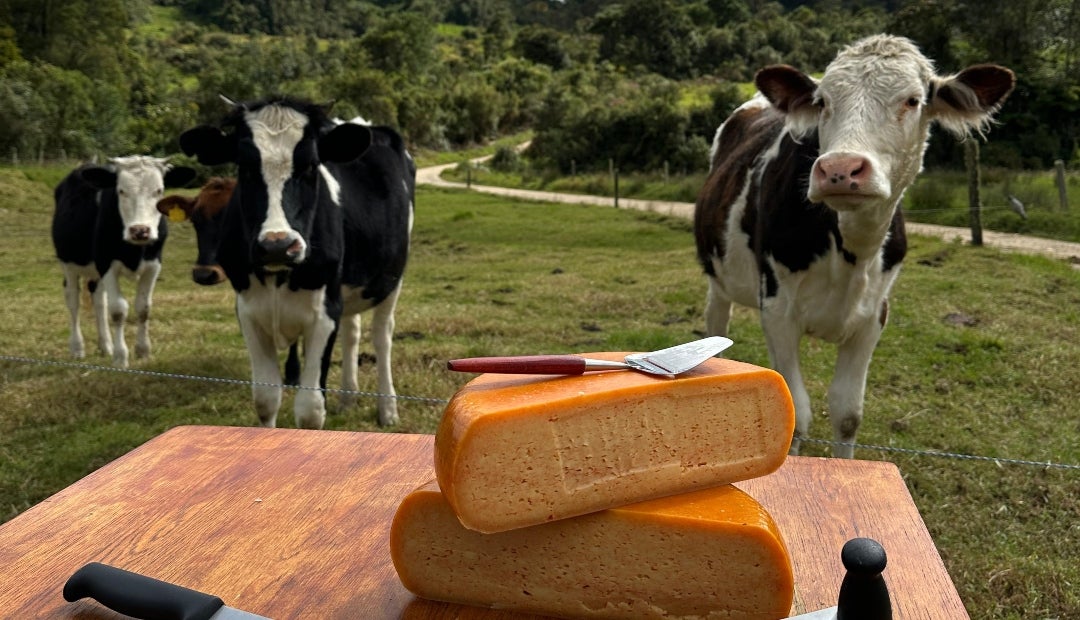 El triunfo en Suiza confirma lo que durante años ha construido la comunidad campesina de la vereda Monquetiva, en Guatavita (Cundinamarca)