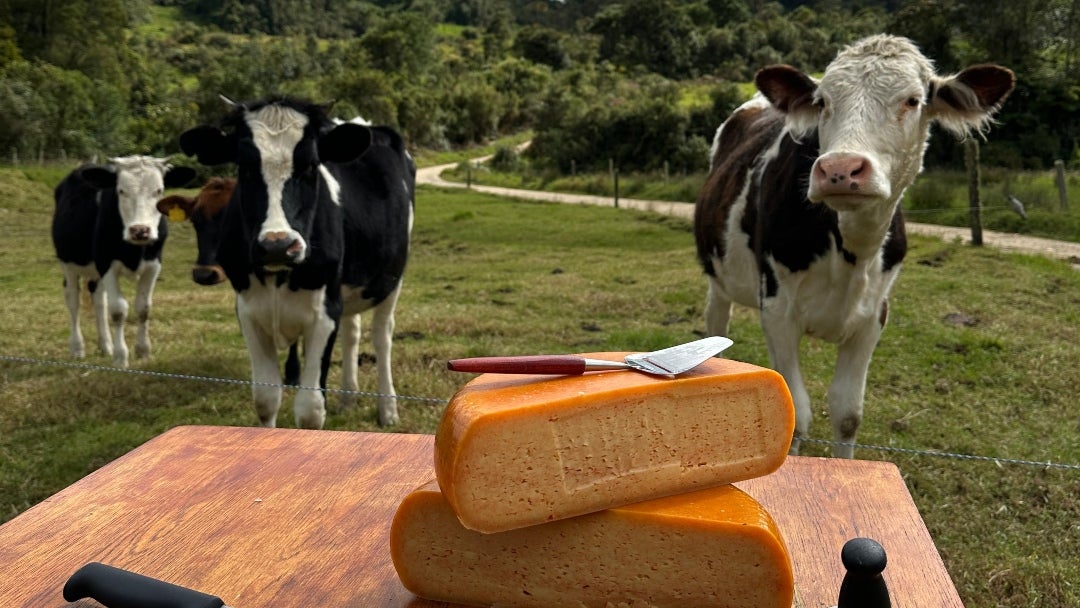 El triunfo en Suiza confirma lo que durante años ha construido la comunidad campesina de la vereda Monquetiva, en Guatavita (Cundinamarca)