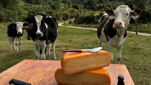 El triunfo en Suiza confirma lo que durante años ha construido la comunidad campesina de la vereda Monquetiva, en Guatavita (Cundinamarca)