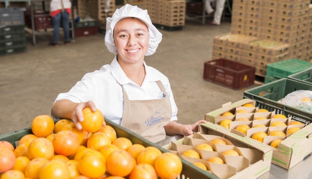 Por el momento, la empresa tiene tres certificaciones: Global Gap, Smeta y Fair Trade, que tienen relación directa con el retorno a la comunidad