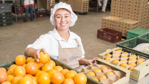 Por el momento, la empresa tiene tres certificaciones: Global Gap, Smeta y Fair Trade, que tienen relación directa con el retorno a la comunidad