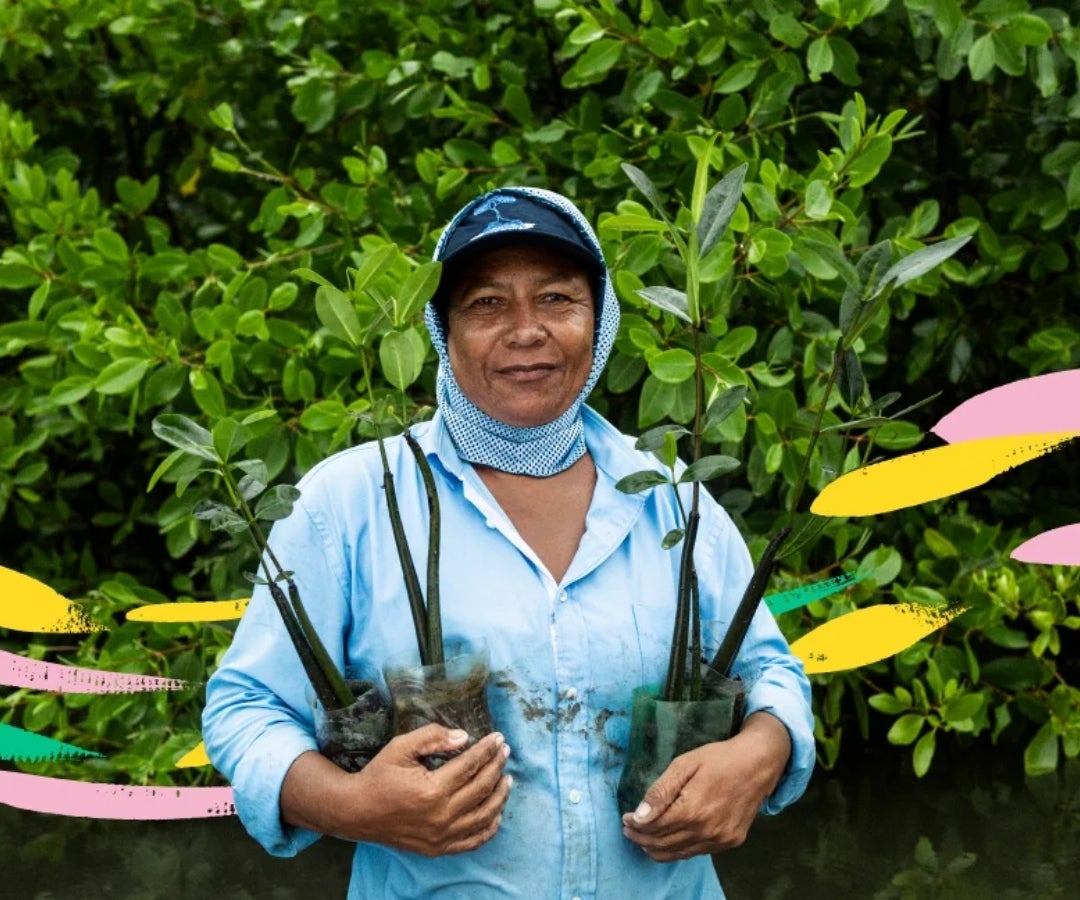 Cuenta del Mar de Bancolombia ya desembolsó $603.000 millones para cuidar el océano