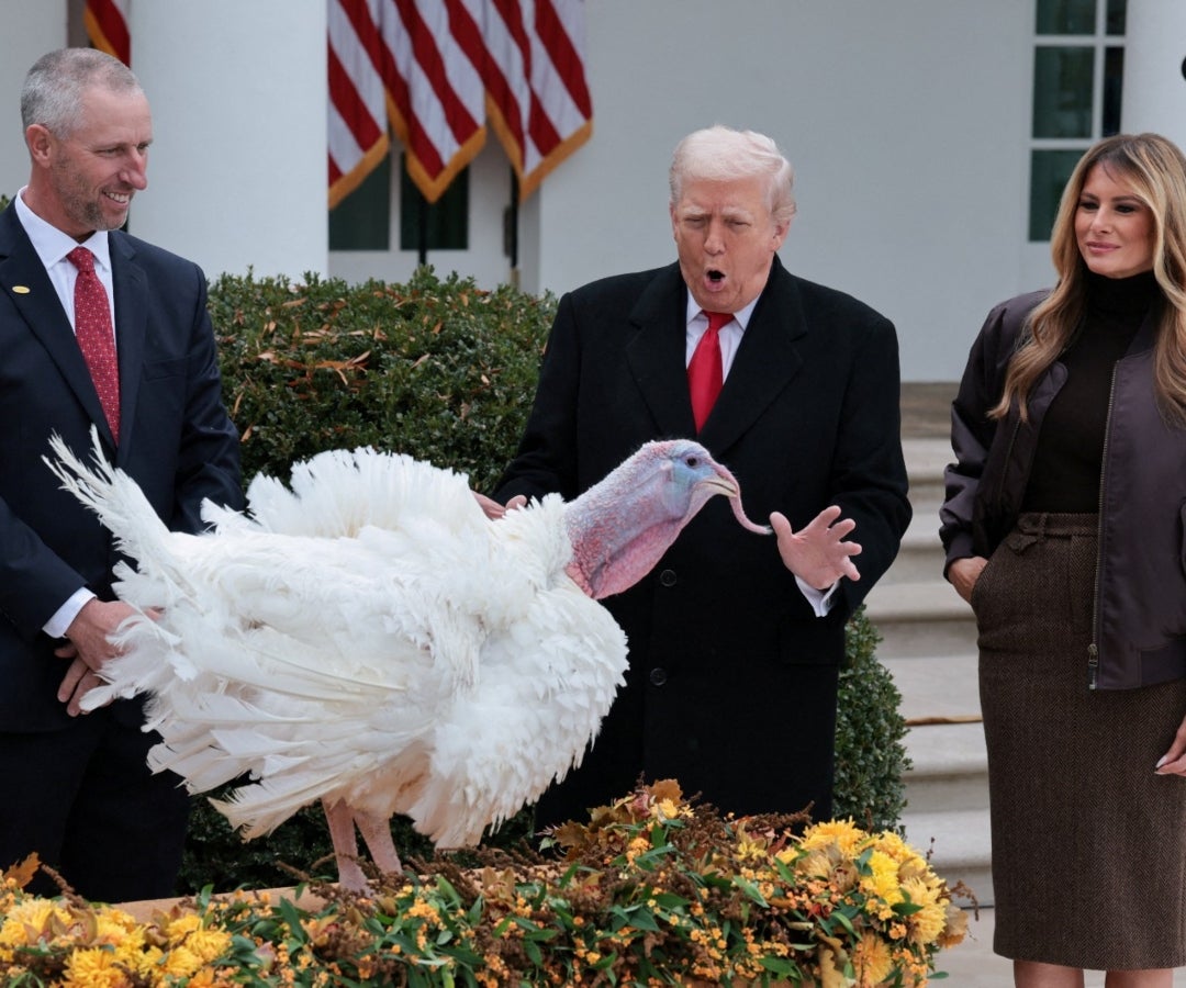 Trump bromeó sobre los nombres que se le podrían poner a los animales, comentando que podrían llamarse Chuck y Nancy por su aspecto