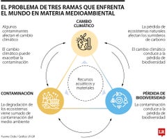 globo_medio_ambiente_p8y9_1080x900 Ocde alerta que la triple crisis ambiental exige políticas integradas para evitar un colapso