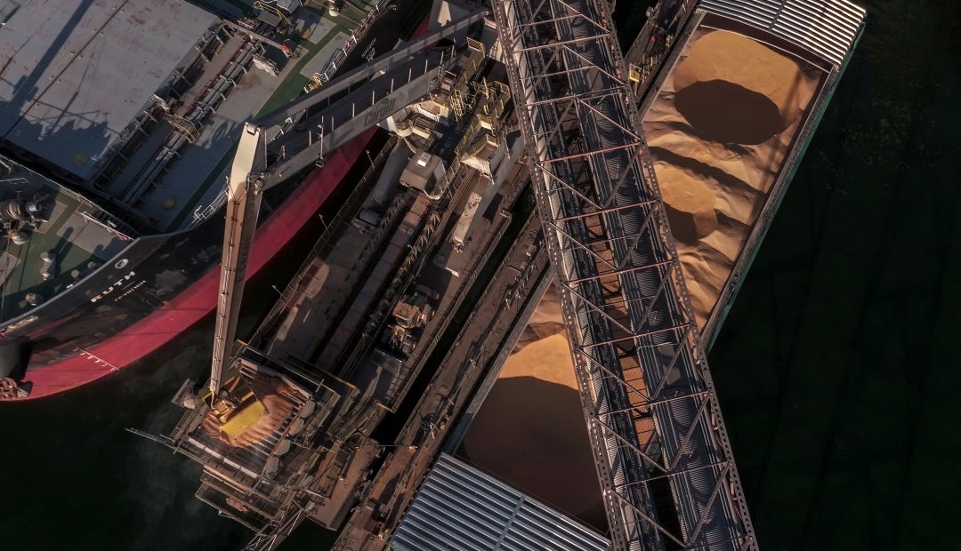 China detuvo las importaciones de soja de cinco plantas brasileñas propiedad de importantes empresas agrícolas mundiales