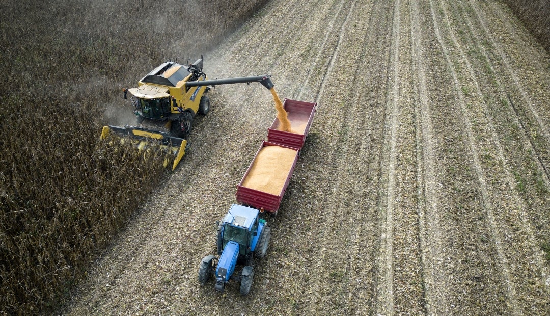Durante los próximos tres años se tendrán compras de al menos 25 millones de toneladas de soja anualmente