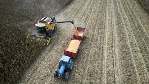 Durante los próximos tres años se tendrán compras de al menos 25 millones de toneladas de soja anualmente