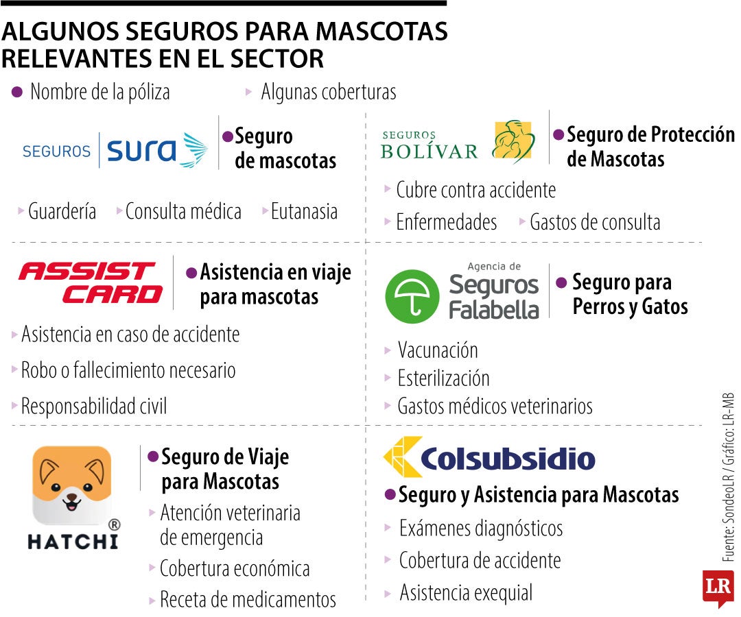 Algunos seguros que cubren a sus mascotas durante los viajes