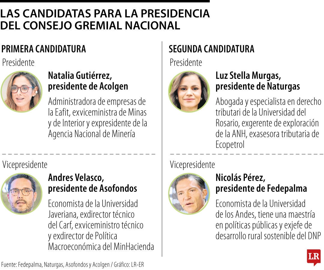 Candidatas para presidir el Consejo Gremial Nacional en 2026