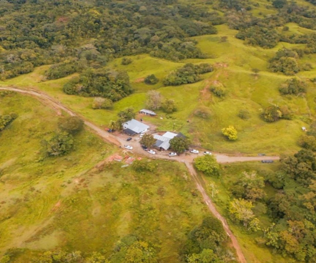 Entidades financieras deberán informar a la ANT de los predios que reciban como pago de créditos hipotecarios y demás negocios